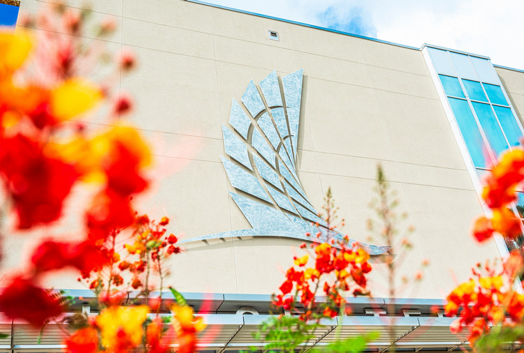 Texas+A%26M+University+Corpus+Christi