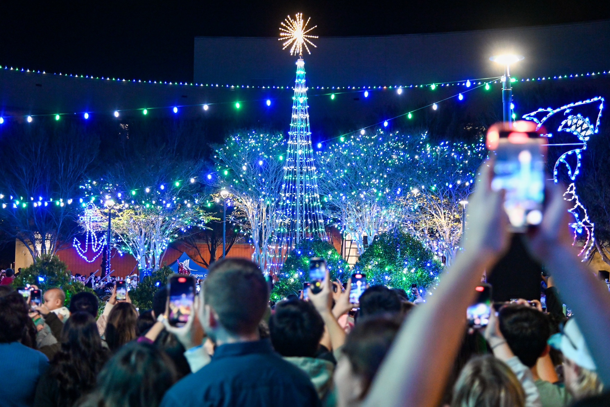 View of Lee Plaza during Islander Lights