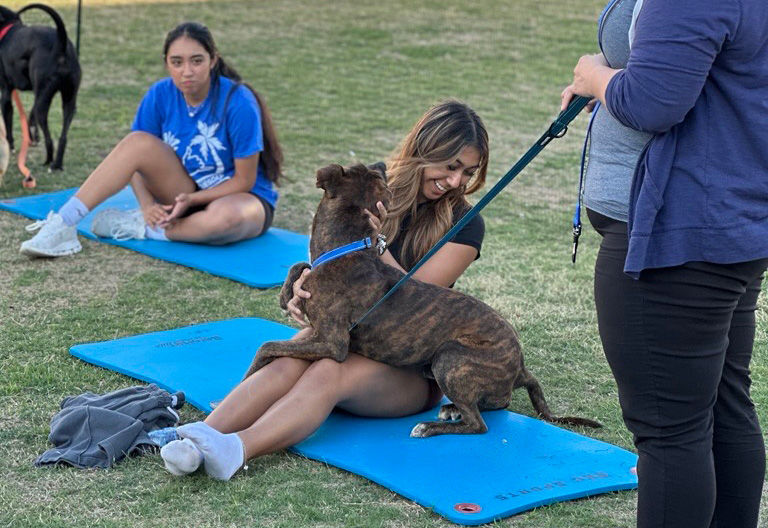 puppy_yoga.jpg